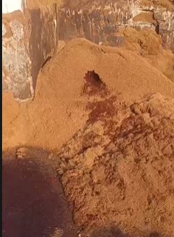 Coconut Husk