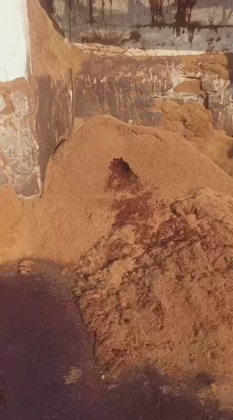 Coconut Husk