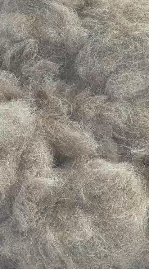 Coconut Husk